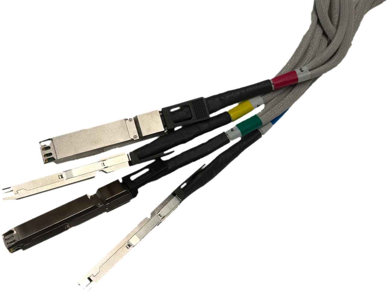 An Infraeo custom fan-out assembly: one bundle branching into four connector heads, each with its own marker band.